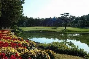 インパクとりっぷ|宮崎フェニックスカントリークラブ