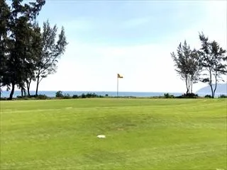 海外|ベトナム